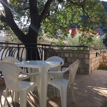 Villa Julia Petrovac Zewnętrze zdjęcie