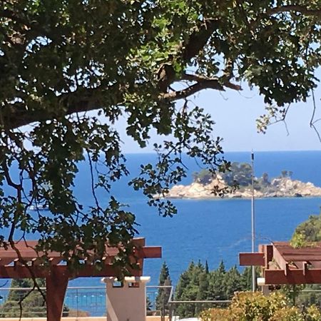 Villa Julia Petrovac Zewnętrze zdjęcie