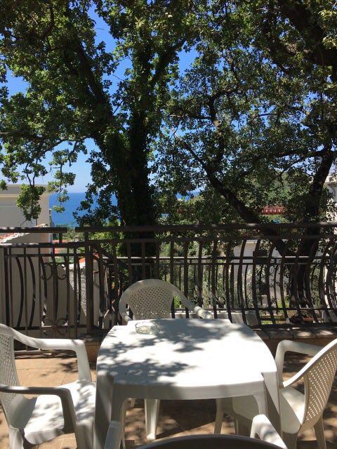 Villa Julia Petrovac Zewnętrze zdjęcie