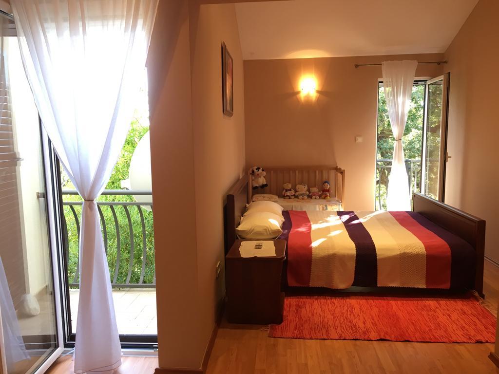 Villa Julia Petrovac Zewnętrze zdjęcie
