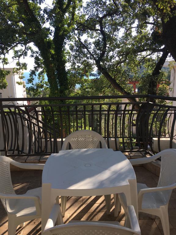 Villa Julia Petrovac Zewnętrze zdjęcie