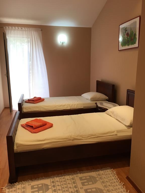 Villa Julia Petrovac Zewnętrze zdjęcie