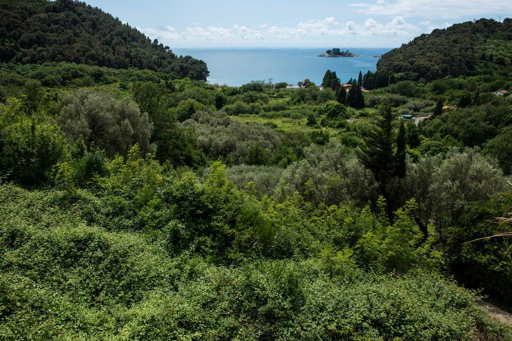 Villa Julia Petrovac Zewnętrze zdjęcie
