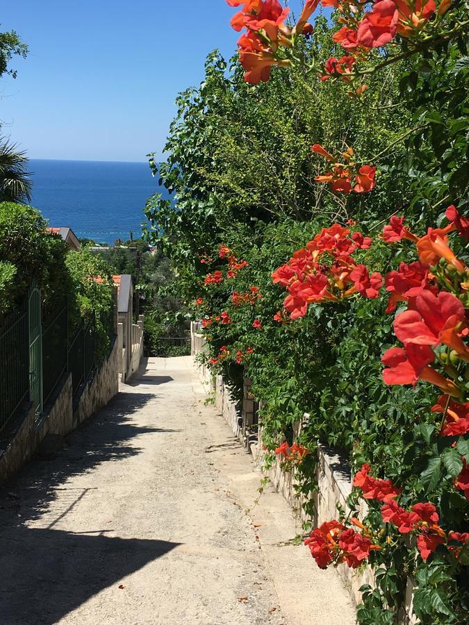Villa Julia Petrovac Zewnętrze zdjęcie
