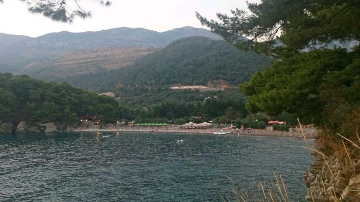 Villa Julia Petrovac Zewnętrze zdjęcie