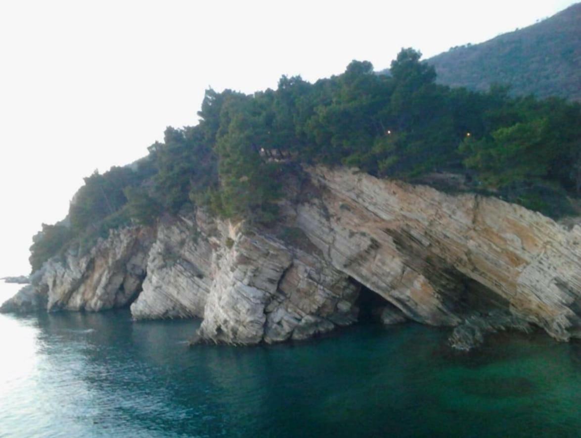 Villa Julia Petrovac Zewnętrze zdjęcie